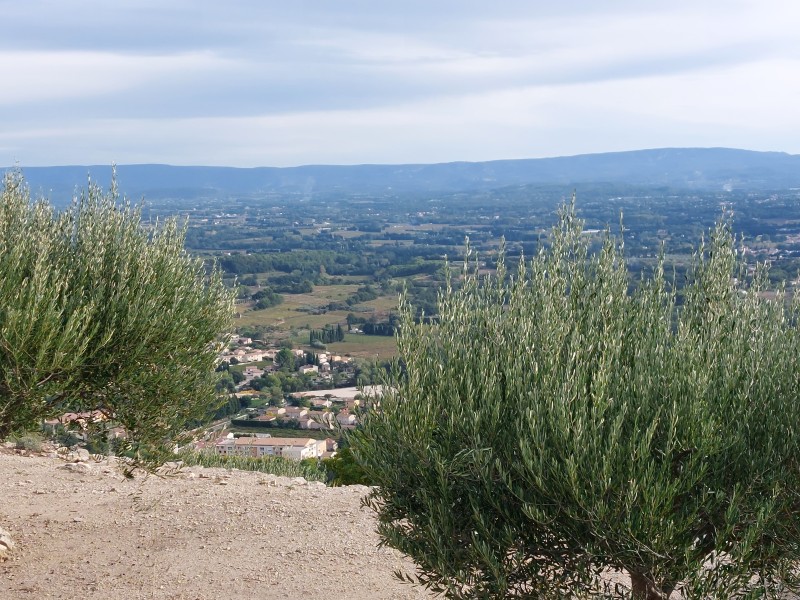 Rando Beaumes 2023_13.jpg