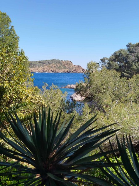 Escapade_Cassis 2024_2024.jpg