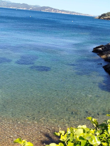 Escapade_Cassis 2024_2024_02.jpg