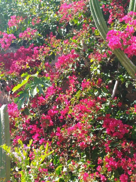 Escapade_Cassis 2024_2024_09.jpg