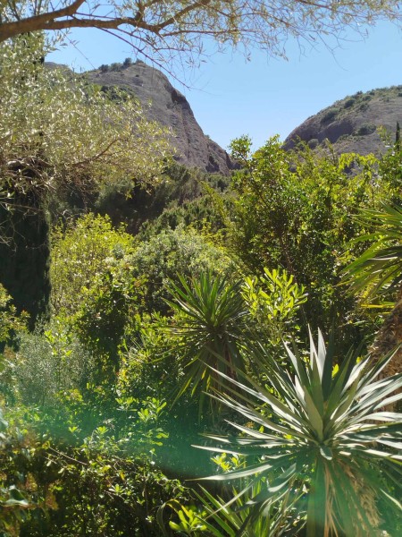 Escapade_Cassis 2024_2024_45.jpg