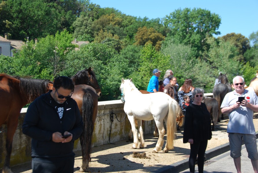 Foire_chevaux_beda_2024_25.jpg