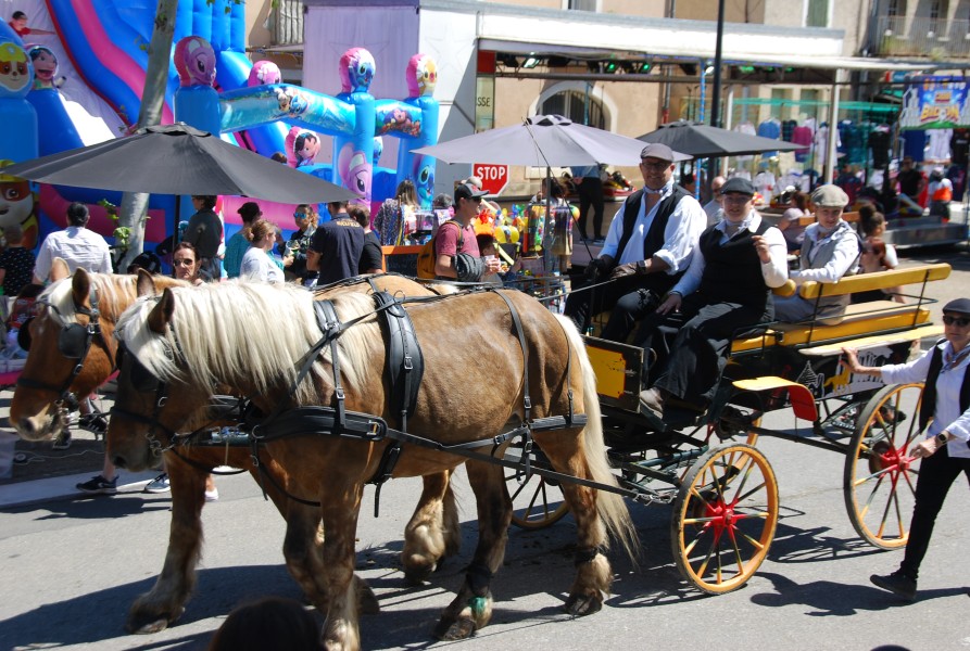 Foire_chevaux_beda_2024_74.jpg