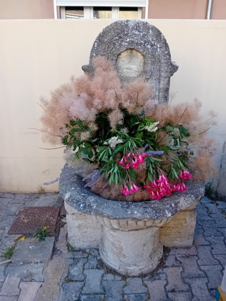 fontaine 2025 15.jpg