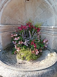 fontaine 2025 10.jpg fontaine 2025 10.jpg