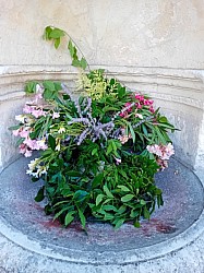 fontaine 2025 11.jpg fontaine 2025 11.jpg