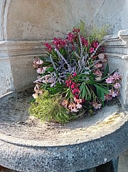 fontaine 2025 3.jpg fontaine 2025 3.jpg