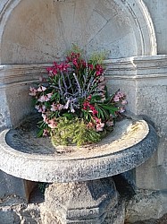 fontaine 2025 7.jpg fontaine 2025 7.jpg