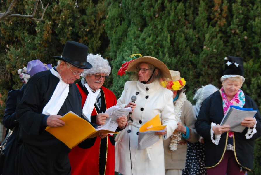 carnaval_ 2025_10.jpg