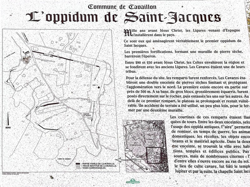 Cavaillon 2025_02.jpg