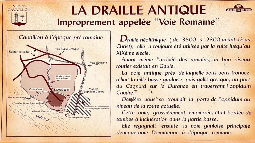 Cavaillon 2025_03.jpg