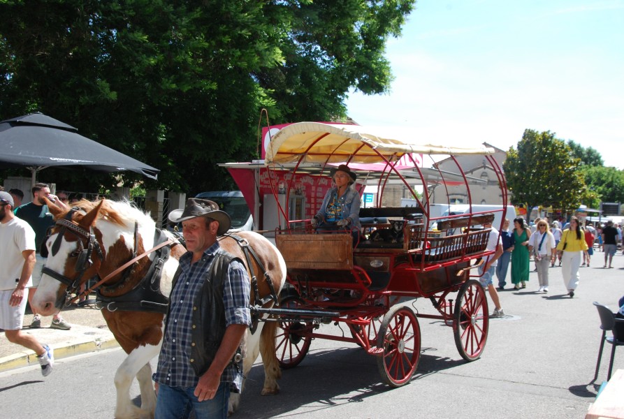 foire_chevaux_2025_38.jpg