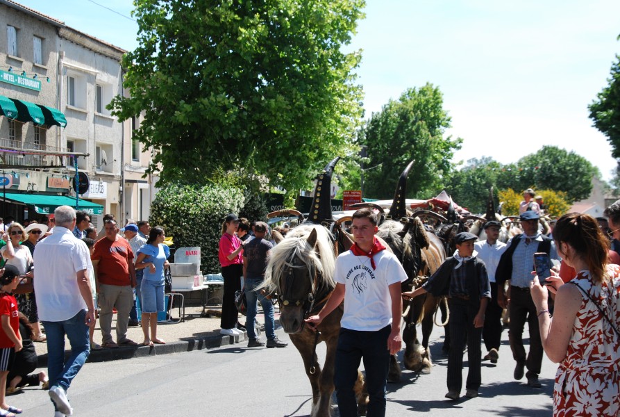 foire_chevaux_2025_47.jpg