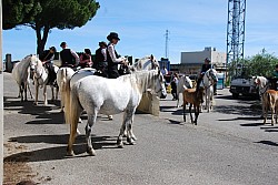 foire_chevaux_2025.jpg foire_chevaux_2025.jpg