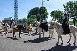 foire_chevaux_2025_02.jpg foire_chevaux_2025_02.jpg