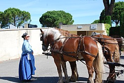 foire_chevaux_2025_06.jpg foire_chevaux_2025_06.jpg