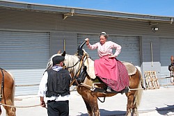 foire_chevaux_2025_11.jpg foire_chevaux_2025_11.jpg