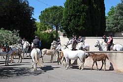 foire_chevaux_2025_12.jpg foire_chevaux_2025_12.jpg