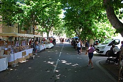 foire_chevaux_2025_21.jpg foire_chevaux_2025_21.jpg