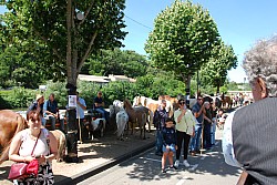 foire_chevaux_2025_22.jpg foire_chevaux_2025_22.jpg