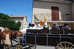 foire_chevaux_2025_33.jpg foire_chevaux_2025_33.jpg
