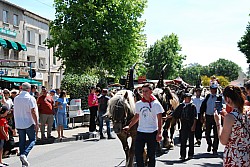 foire_chevaux_2025_47.jpg foire_chevaux_2025_47.jpg