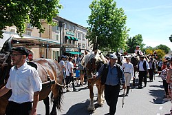 foire_chevaux_2025_49.jpg foire_chevaux_2025_49.jpg