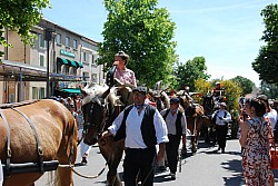 foire_chevaux_2025_50.jpg foire_chevaux_2025_50.jpg