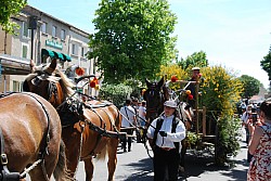 foire_chevaux_2025_51.jpg foire_chevaux_2025_51.jpg