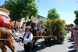 foire_chevaux_2025_52.jpg foire_chevaux_2025_52.jpg