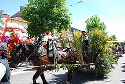 foire_chevaux_2025_53.jpg foire_chevaux_2025_53.jpg