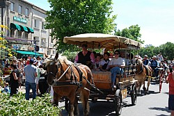 foire_chevaux_2025_54.jpg foire_chevaux_2025_54.jpg