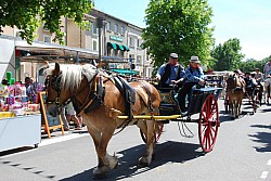 foire_chevaux_2025_55.jpg foire_chevaux_2025_55.jpg