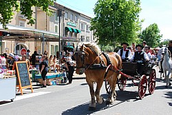 foire_chevaux_2025_56.jpg foire_chevaux_2025_56.jpg