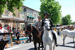 foire_chevaux_2025_57.jpg foire_chevaux_2025_57.jpg