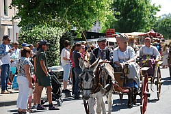 foire_chevaux_2025_59.jpg foire_chevaux_2025_59.jpg
