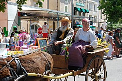 foire_chevaux_2025_61.jpg foire_chevaux_2025_61.jpg