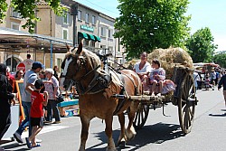 foire_chevaux_2025_62.jpg foire_chevaux_2025_62.jpg