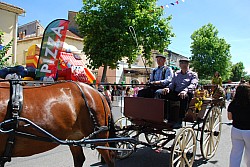 foire_chevaux_2025_63.jpg foire_chevaux_2025_63.jpg