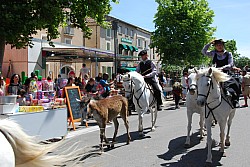 foire_chevaux_2025_70.jpg foire_chevaux_2025_70.jpg