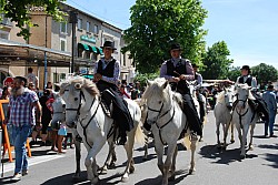 foire_chevaux_2025_73.jpg foire_chevaux_2025_73.jpg