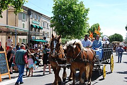 foire_chevaux_2025_77.jpg foire_chevaux_2025_77.jpg