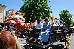 foire_chevaux_2025_78.jpg foire_chevaux_2025_78.jpg
