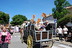 foire_chevaux_2025_79.jpg foire_chevaux_2025_79.jpg