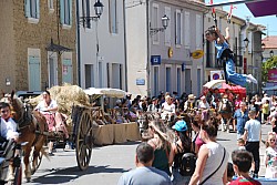 foire_chevaux_2025_97.jpg foire_chevaux_2025_97.jpg
