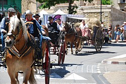 foire_chevaux_2025_98.jpg foire_chevaux_2025_98.jpg