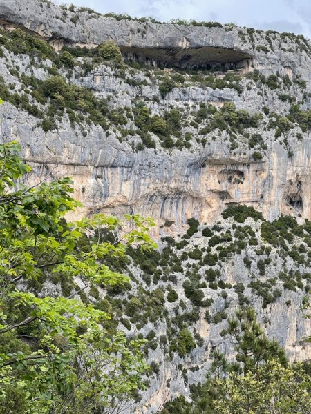 rando beda  2025_02.jpg