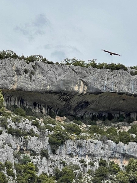 rando beda  2025_03.jpg