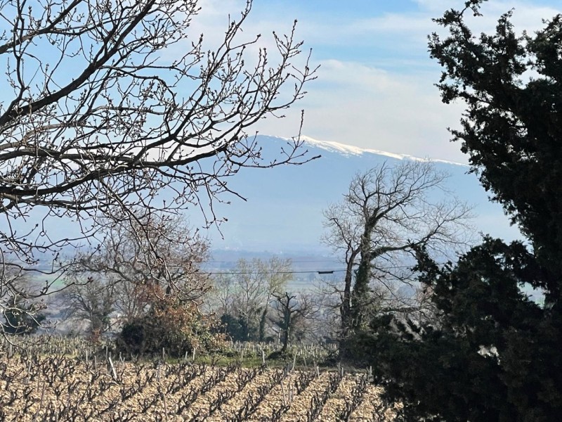 rando beda  2025_07.jpg