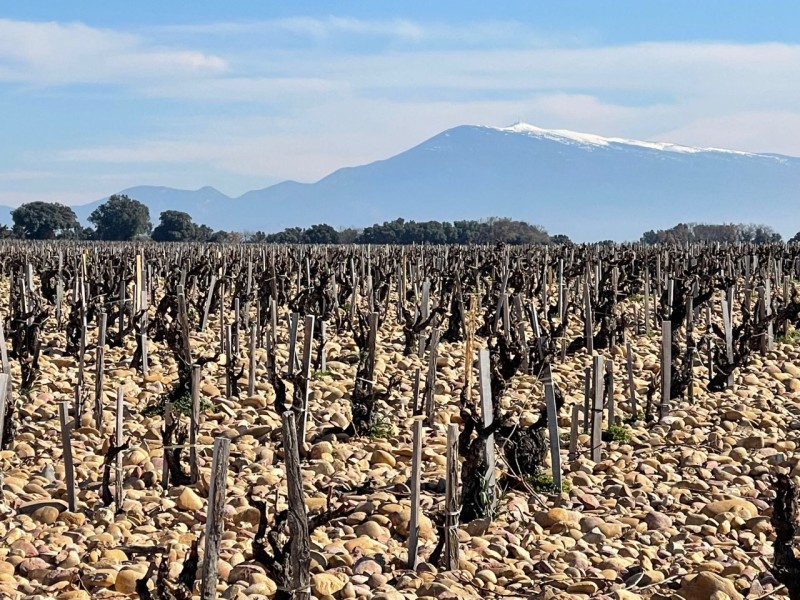 rando beda  2025_09.jpg